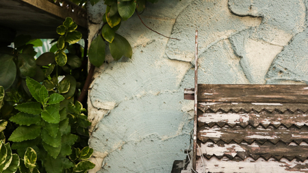 Wooden Roof Pattern with Peeling White Paint on Rough Painted Teal Wall - Green Leaves from the Garden - Miniature Wood Temple/ Spirit House in front of Local Home. Rural Thailand.の写真素材