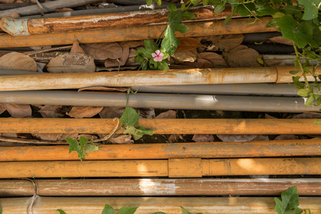 Vintage Old PVC Water Pipes on Concrete Ground - Outdoor Garden/ Dry  Leaf/ Dirty Groundの写真素材