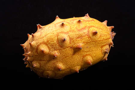 An uncut kiwano (horned melon) isolated on a black background.