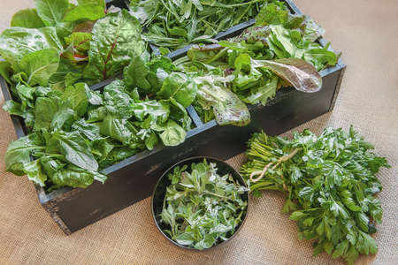 A wooden produce box filled with four types of mixed greens including spinach, mixed lettuce, arugula, and chard with oregano and parsley in the foreground.の写真素材