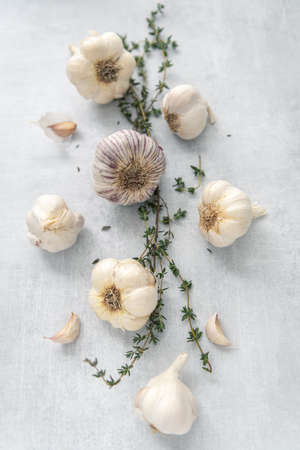 Various bulbs of garlic on top of sprigs of thyme.の写真素材