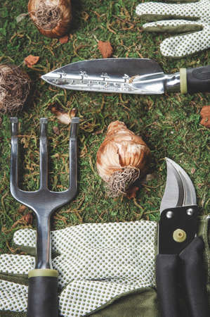 Accessories for the active gardener include many hand held tools, spring bulbs, and the essential...