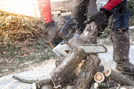 Professional chainsaw cuts firewoods