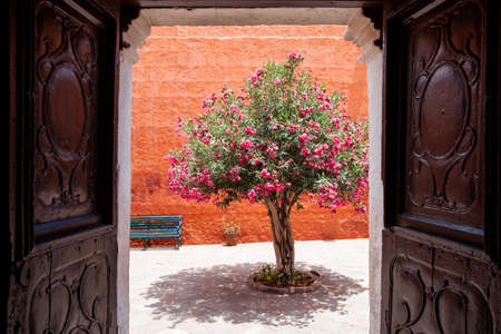 Monastery of Santa Catalina, Arequipa, Peru, flowering tree view. Ancient carved doors, orange walls and a bench near a flowering tree in the courtyardの写真素材