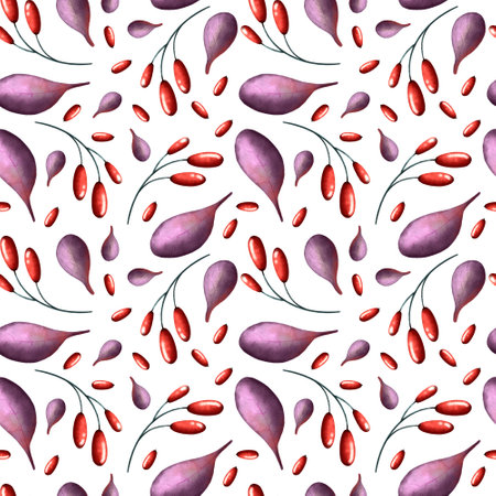 Seamless pattern of berries and branches of barberryの写真素材
