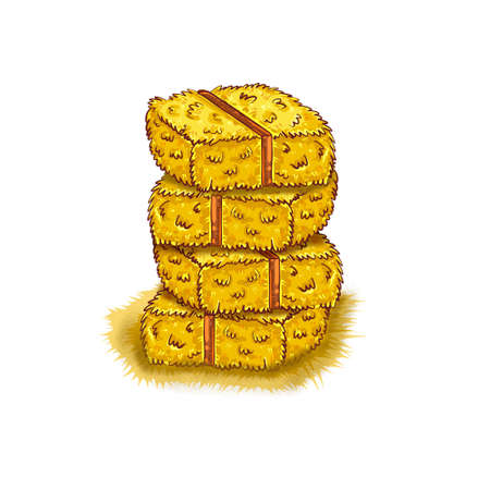 Hay in bales insulated on a white backgroundの写真素材