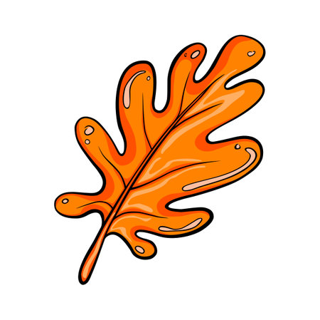 Orange oak leaf isolated on a white backgroundのイラスト素材