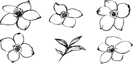 A collection of six hand-drawn floral illustrations featuring various flower designs and a small leaf branch. The flowers are outlined in black with simple details, showcasing a delicate and artistic style.のイラスト素材