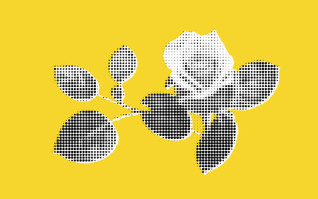 Stylized Black and White Rose on Yellow Backgroundのイラスト素材