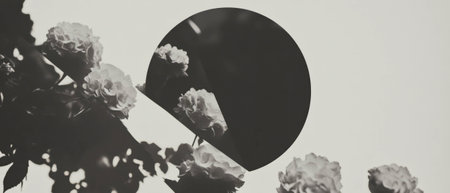 Elegant compact mirror collage with geometric shapes and delicate flowers on white backgroundの写真素材