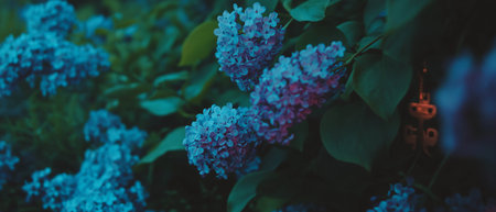 Purple lilacs and vintage keys create a mysterious antique flat lay compositionの写真素材