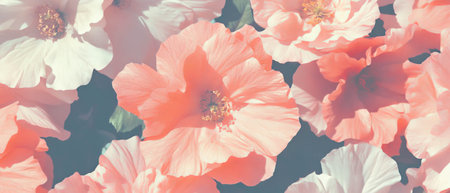 Delicate light pink floral pattern creating a romantic and feminine atmosphereの写真素材