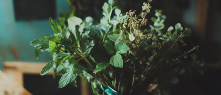 Fresh mint bouquet with ribbon showcasing vibrant herbal greenery indoorsの写真素材