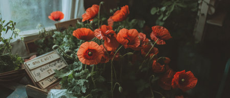 Red poppies and vintage letters create a romantic and rustic flat lay displayの写真素材