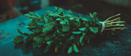 Freshly tied mint sprigs exuding natural fragrance perfect for culinary uses