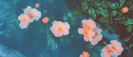 Urban and natural elements blend in striking double exposure of concrete and flowers