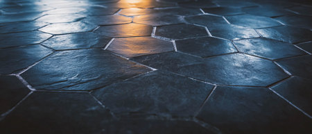 Modern dark grey hexagonal tiles with contrasting grout in a sophisticated settingの写真素材