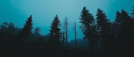 Mysterious dark forest silhouette with trees against a dramatic twilight skyの写真素材
