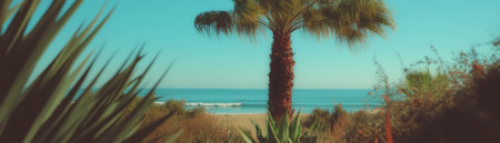 View from beneath a palm tree overlooking the tranquil ocean horizon on a bright dayの素材