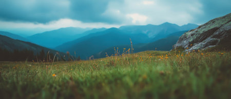 Serene mountain landscape with lush grass and distant peaks under cloudy skiesの素材