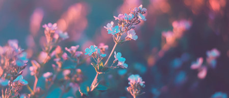 Delicate purple and white mint flowers bloom in soft light, showcasing their beauty outdoorsの素材