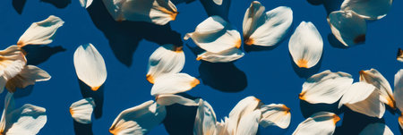 Scattering of sunflower seeds and dried petals on bright indigo background creates textured designの素材