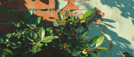 Juxtaposition of nature and urban textures in a double exposure representationの写真素材