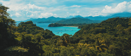 Discover a vibrant tropical paradise with lush vegetation and stunning ocean viewsの素材