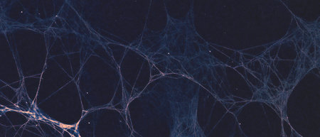 Intricate spider web texture overlay with delicate threads on a black backgroundの素材