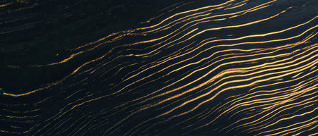 Elegant line texture overlay on a black background creates a delicate visual effectの素材