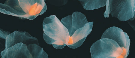 Geometric petal arrangements showcasing structured beauty against a dark backgroundの素材