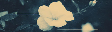 Delicate flower with a broken petal set against a grunge background showcasing halftone textureの素材