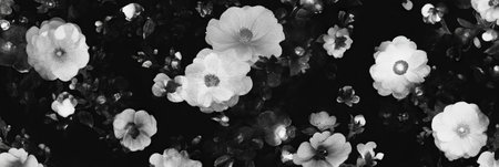 Seamless textured flower pattern with diverse African designs in black and whiteの素材