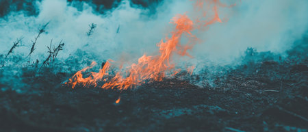 Background texture featuring dynamic flames against a deep black canvas with smoke elementsの素材