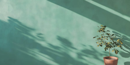 Light mint green wall creates a calming backdrop for a small potted plant in a cozy spaceの素材
