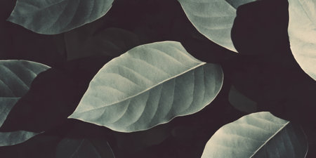 Silver deep pastel leaf wall texture with grunge overlay and dark markings in a modern settingの素材