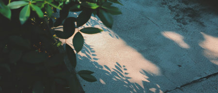 Urban nature combines concrete textures and delicate leaves in a double exposure effectの素材