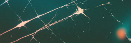 Capturing the unique texture of scanned film with scratches and uneven grain characteristicsの素材