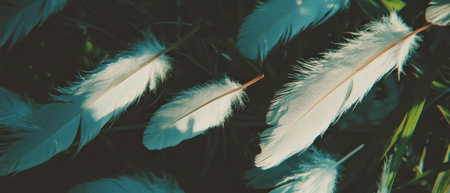 Delicate feather patterns overlay texture for creative design projectsの素材