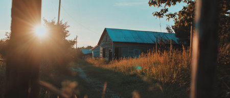 Weathered barn wood surrounded by golden grass at sunset near a rural landscapeの素材