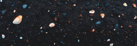 Black sand beach showcasing scattered white shells against dark grainsの素材