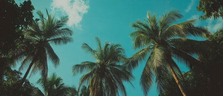 Tropical island paradise with palm trees under a bright blue skyの素材