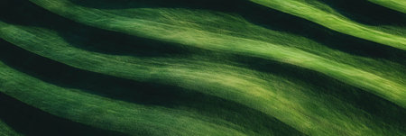 Distinctive texture of a light green fairway with clean mowing lines from a top view perspectiveの素材