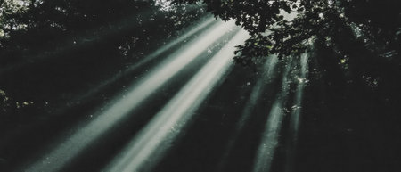 Abstract light rays create a mesmerizing overlay texture in a dark settingの素材