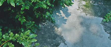 Urban concrete meets organic leaves in double exposure artful blendの素材