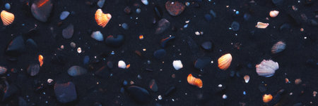 Black sand decorated with diverse shells and bright highlights reflecting sunlightの素材