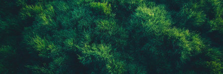 Dark green textured landscape with rough uneven grass and deep shadows from an aerial perspectiveの素材