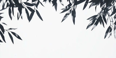 Contrast banner featuring willow twigs framing empty space perfect for messaging or branding needsの写真素材