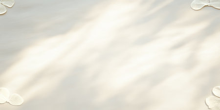 Banner featuring empty space with sand dollars on edges and clean shadows for design purposes
