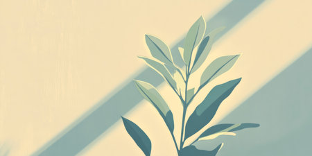 Contrast banner featuring seedlings and clean shadows in an empty space for fresh design ideas